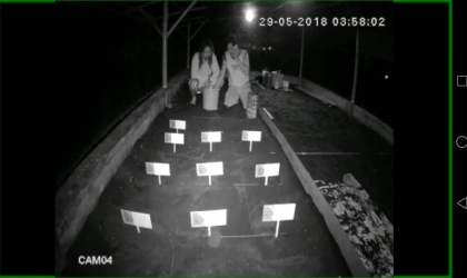 Menemukan Penyu Bertelur di Pantai Santen