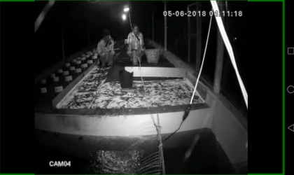 Menemukan Penyu Bertelur di Pantai Boom