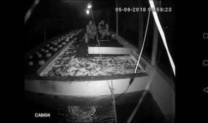 Menemukan Penyu Bertelur di Pantai Boom