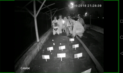 Penyu Lekang Bertelur