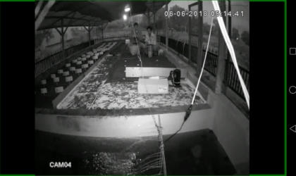 Menemukan Penyu Bertelur di Pantai Boom