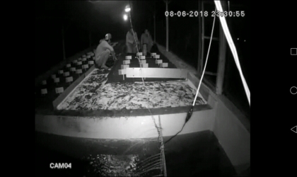 Menemukan Penyu Bertelur di Pantai Santen