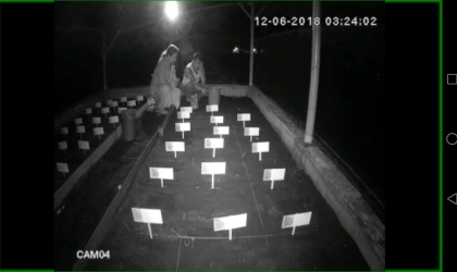 Menemukan Penyu Bertelur di Pantai Santen