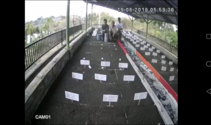 Menemukan Penyu Bertelur di Pantai Solong