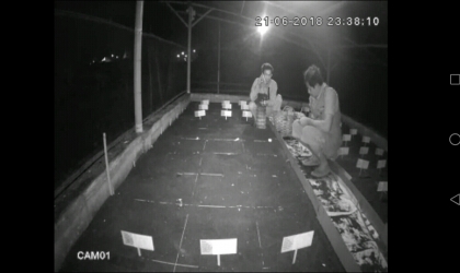 Menemukan Penyu Bertelur di Pantai Boom