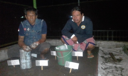 Menemukan Penyu Bertelur di Pantai Santen