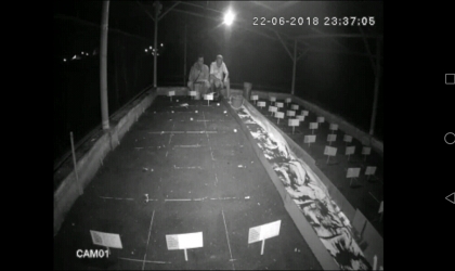 Menemukan Penyu Bertelur di Pantai Mirah