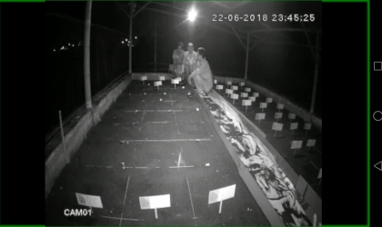 Menemukan Penyu Bertelur di Pantai Mirah