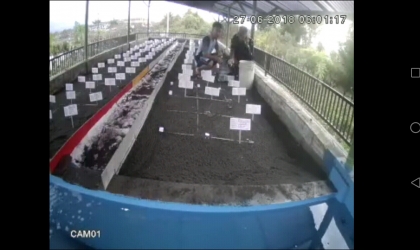 Menemukan Penyu Bertelur di Pantai Sobo