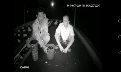 Menemukan Penyu Bertelur di Pantai Solong