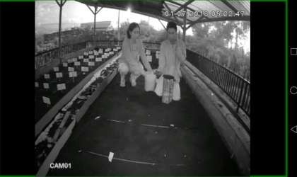 Menemukan Penyu Bertelur di Pantai Sobo