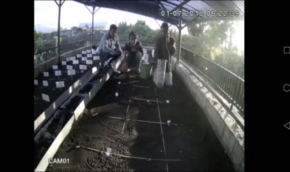 Menemukan Penyu Bertelur di Pantai Santen