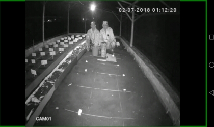 Menemukan Penyu Bertelur di Pantai Solong