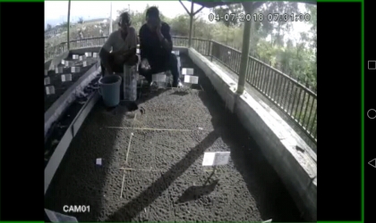 Menemukan Penyu Bertelur di Pantai Santen