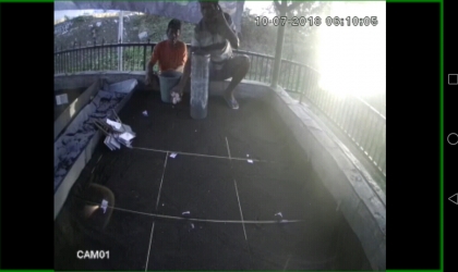 Menemukan Penyu Bertelur di Pantai Santen