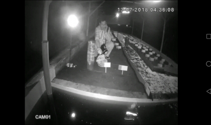 Menemukan Penyu Bertelur di Pantai Boom