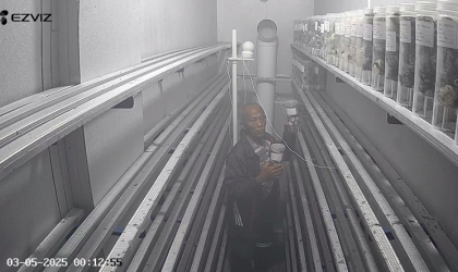 FIKKIA UNAIR Banyuwangi Teliti Cloacal Mucus Penyu Bersama BSTF