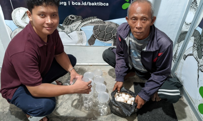 FIKKIA UNAIR Banyuwangi Teliti Cloacal Mucus Penyu Bersama BSTF