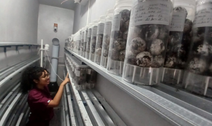 Mahasiswa Filipina Pelajari Mesin Penetas Telur Penyu di BSTF