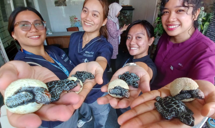 Mahasiswa Filipina Pelajari Mesin Penetas Telur Penyu di BSTF