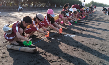 Pelepasliaran Tukik Bersama Siswa Siswi SD Mitra Harapan 