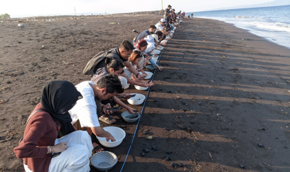Pelepasliaran Tukik Bersama Mahasiswa Warga Negara Asing