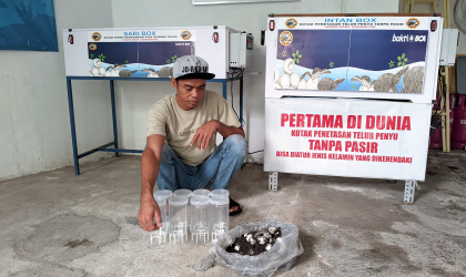 Menemukan Penyu Bertelur di Pantai Sobo