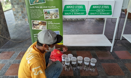 Menemukan Penyu Bertelur di Pantai Sobo