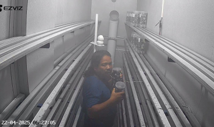 Menemukan Penyu Bertelur di Pantai Pulau Santen