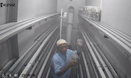 Menemukan Penyu Bertelur di Pantai Mirah