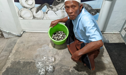 Menemukan Penyu Bertelur di Pantai Mirah